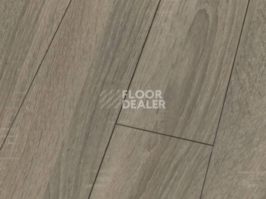 Ламинат Falquon Blue Line Wood 8mm D4186 SONOMA OAK фото 1 | FLOORDEALER